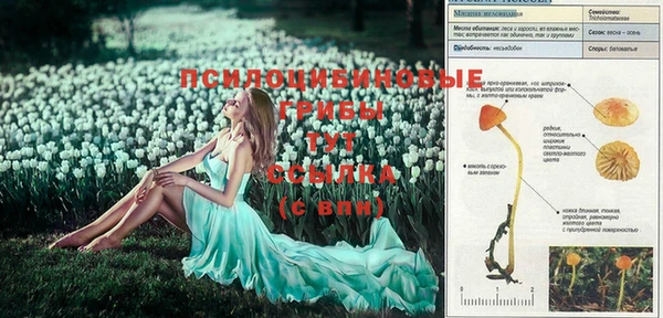 кокаин VHQ Михайловск