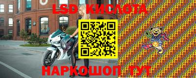 ECSTASY Гатчина