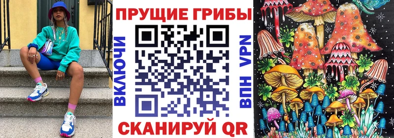 kraken   Егорьевск  Галлюциногенные грибы Magic Shrooms 