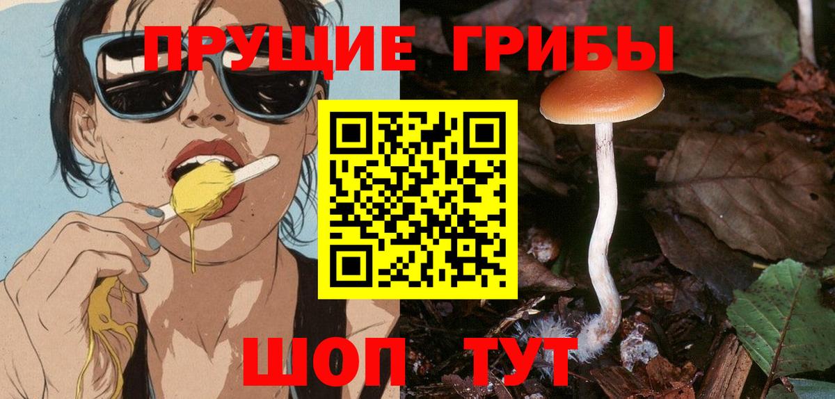 Егорьевск  Галлюциногенные грибы прущие грибы  Псилоцибиновые грибы прущие грибы  Вход с VPN 