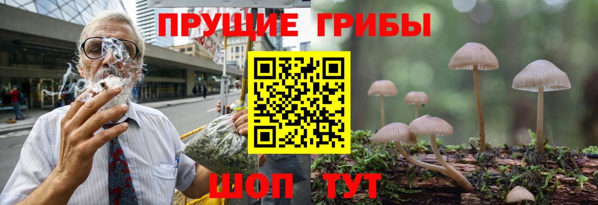 Галлюциногенные грибы GOLDEN TEACHER Егорьевск